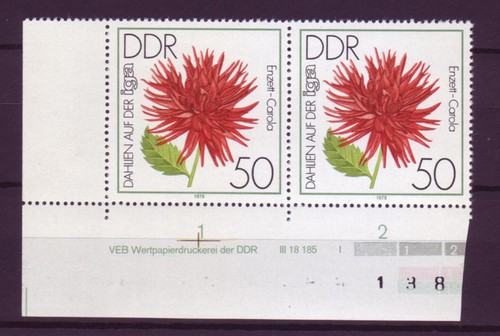 Ddr 2439 druckvermerk paar - 2439,