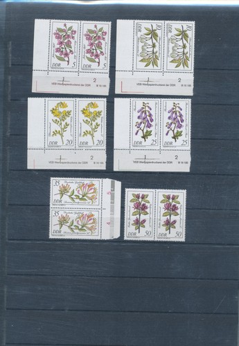 Ddr 2573 seltene gehölze - seltene,
